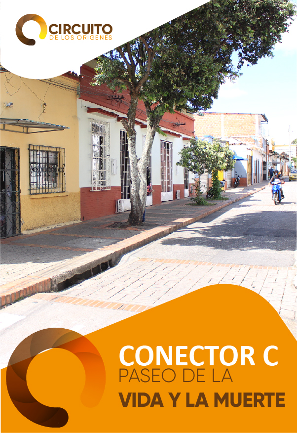 Conector C