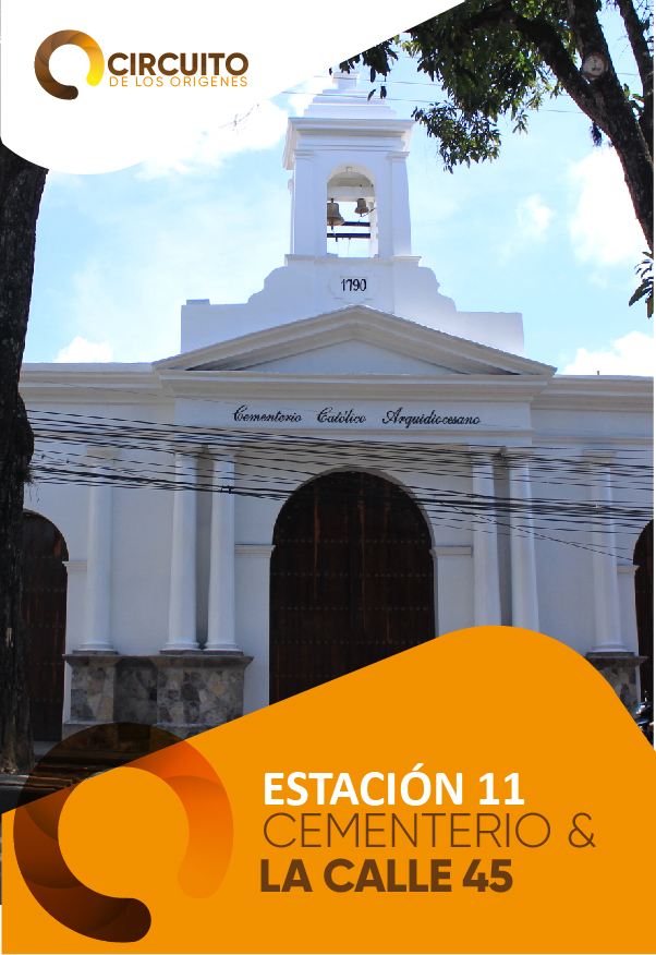 Conector D