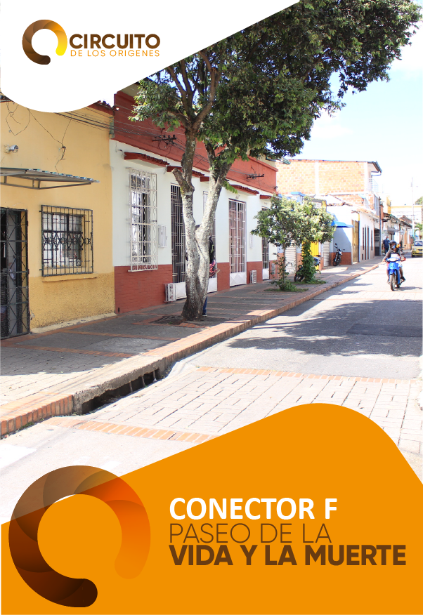 Conector C